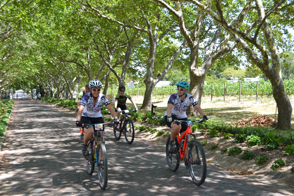 Stellenbosch Wine Tours